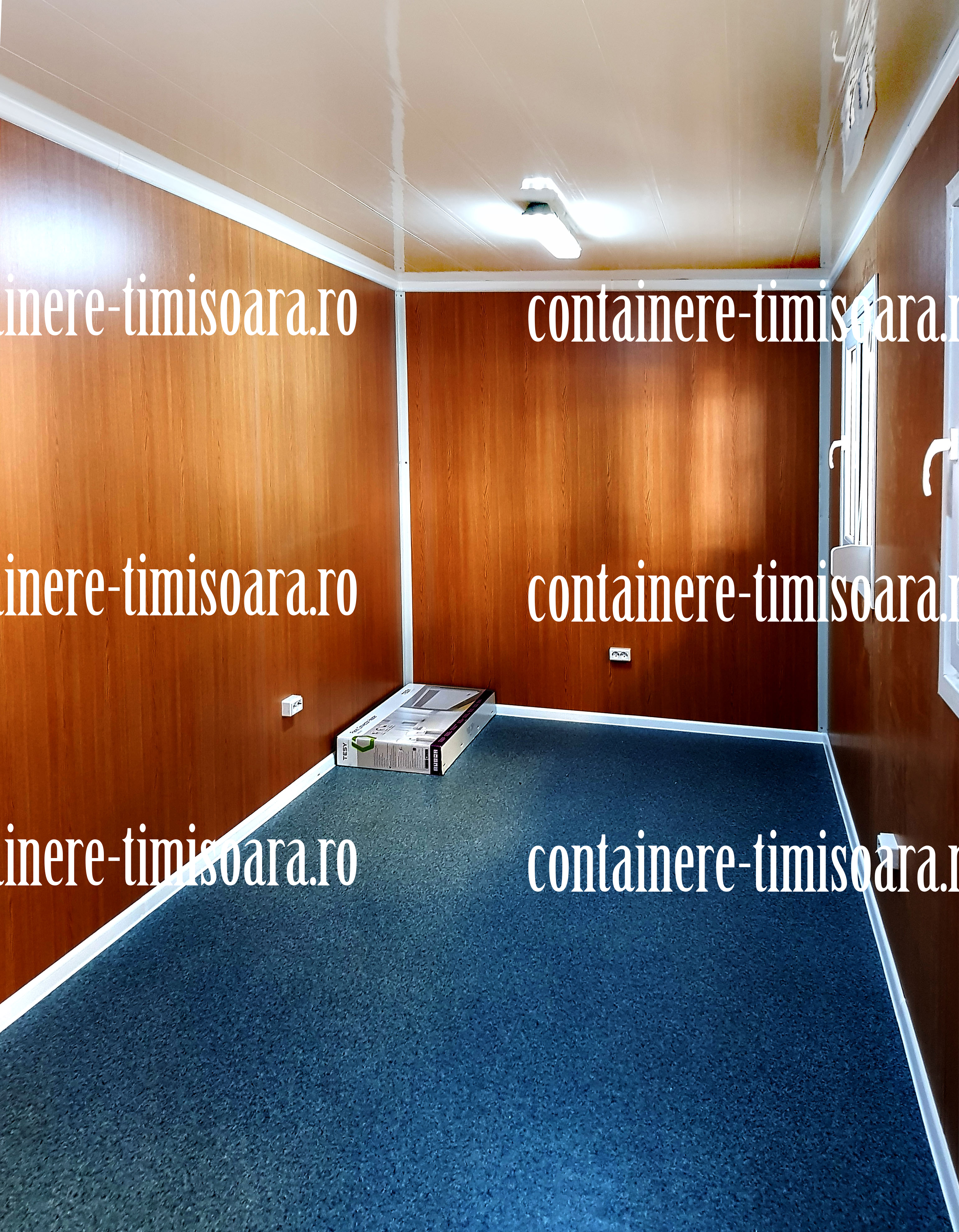 cat costa un container Timisoara